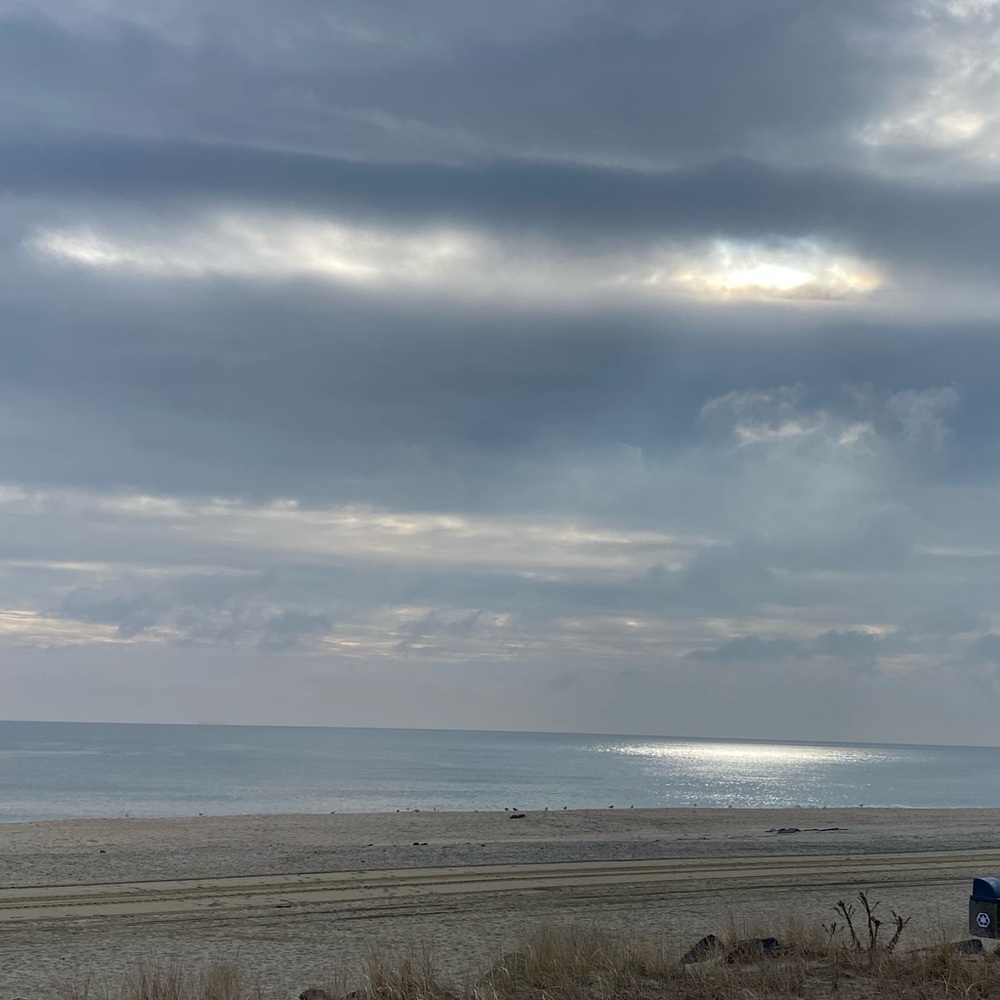 Meet your Posher, Lizsete